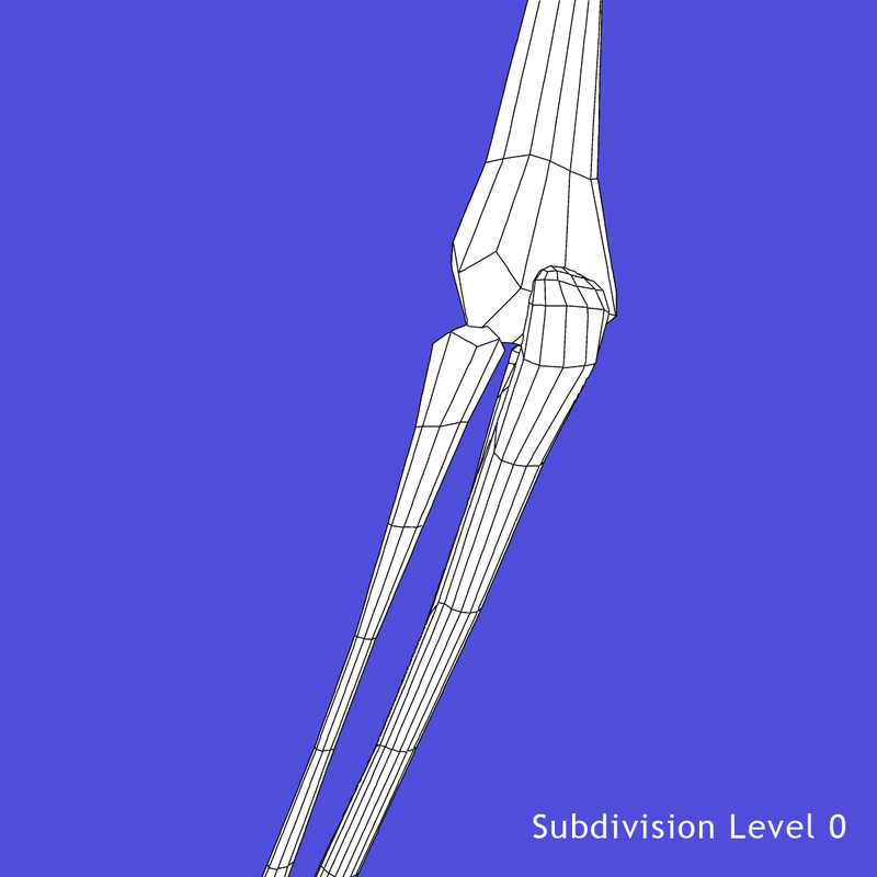 3ds Max Skeleton Body Bone Skull