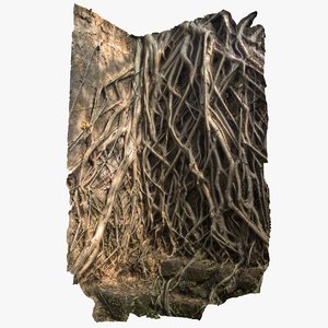 max banyan roots wall scan