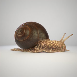 Schöne Schnecke Form Tier Manschettenknöpfe 3D Green Snail Shell Messing