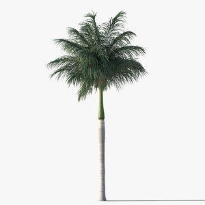 3ds max royal palm tree