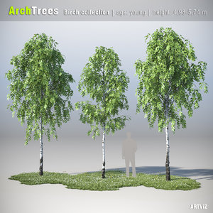 archtrees trees 3d model