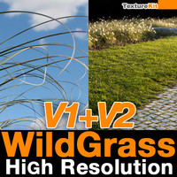 Wild Grass V1 & V2 High Resolution
