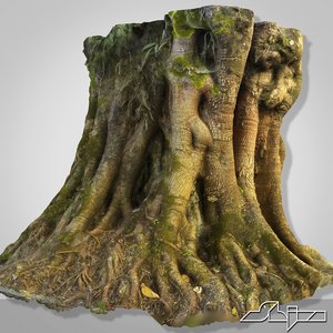 3d tropical tree scan