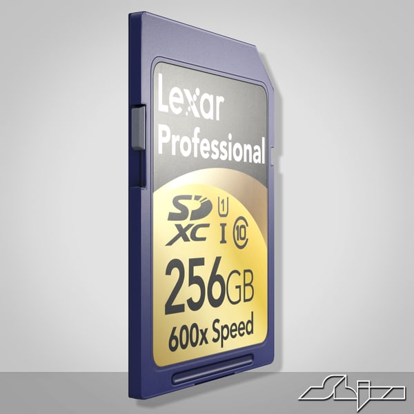 3ds max sd card 256 gb