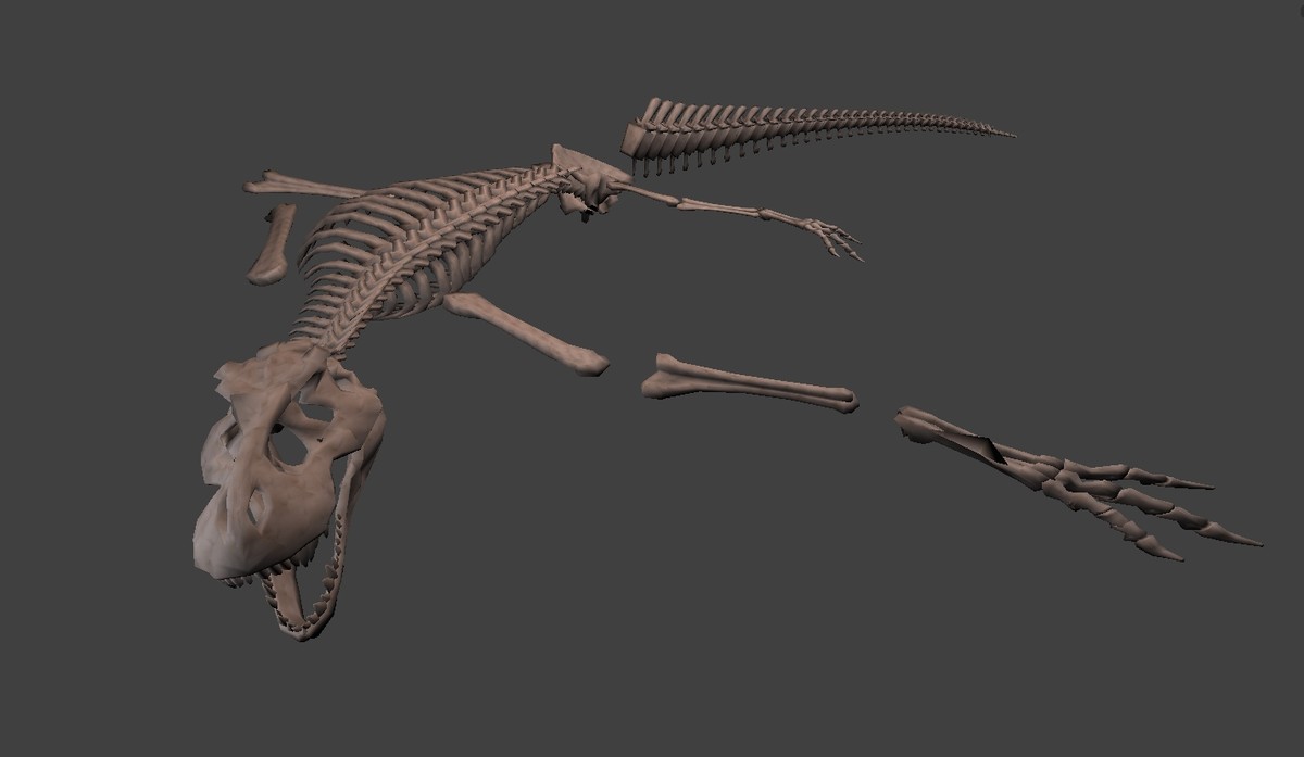 Dinosaur Skeleton 3D Models for Download | TurboSquid