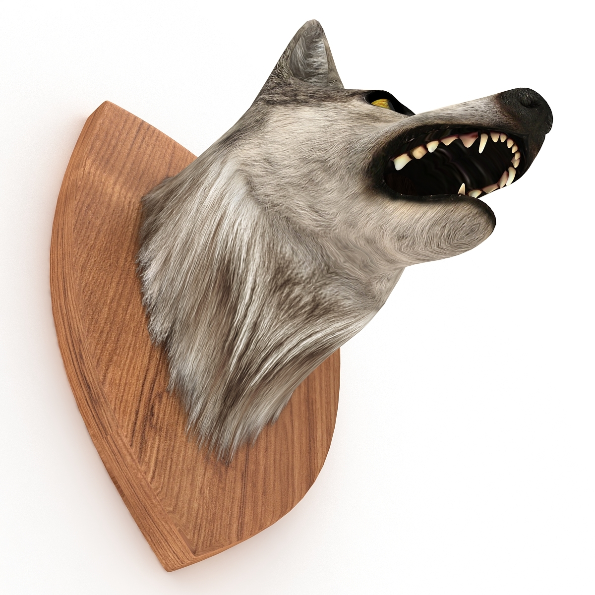 奖杯动物头3d模型