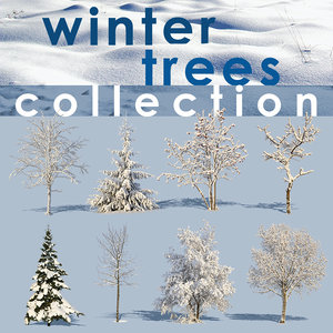 winter trees collection