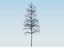 3d 4 season tree birch003 model