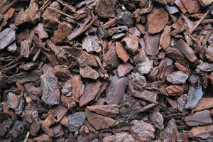 Mulch_Texture_0003