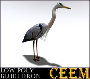 3d model bird heron