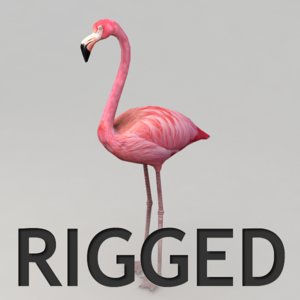 3d flamingo rigged model
