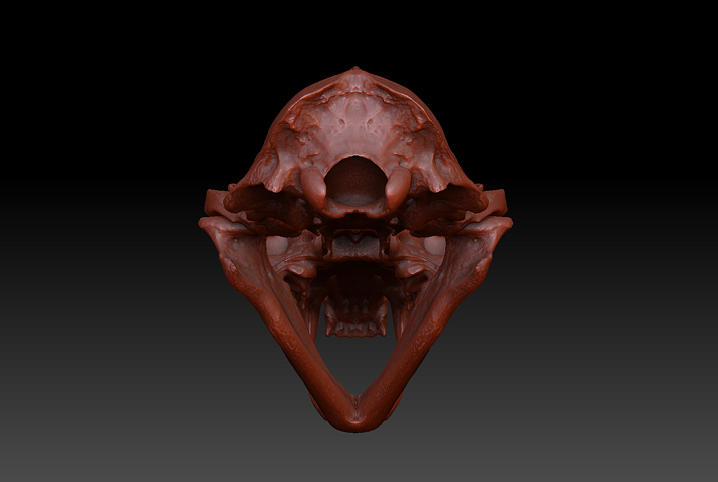 3d pine marten model