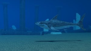 underwater shark 3d model