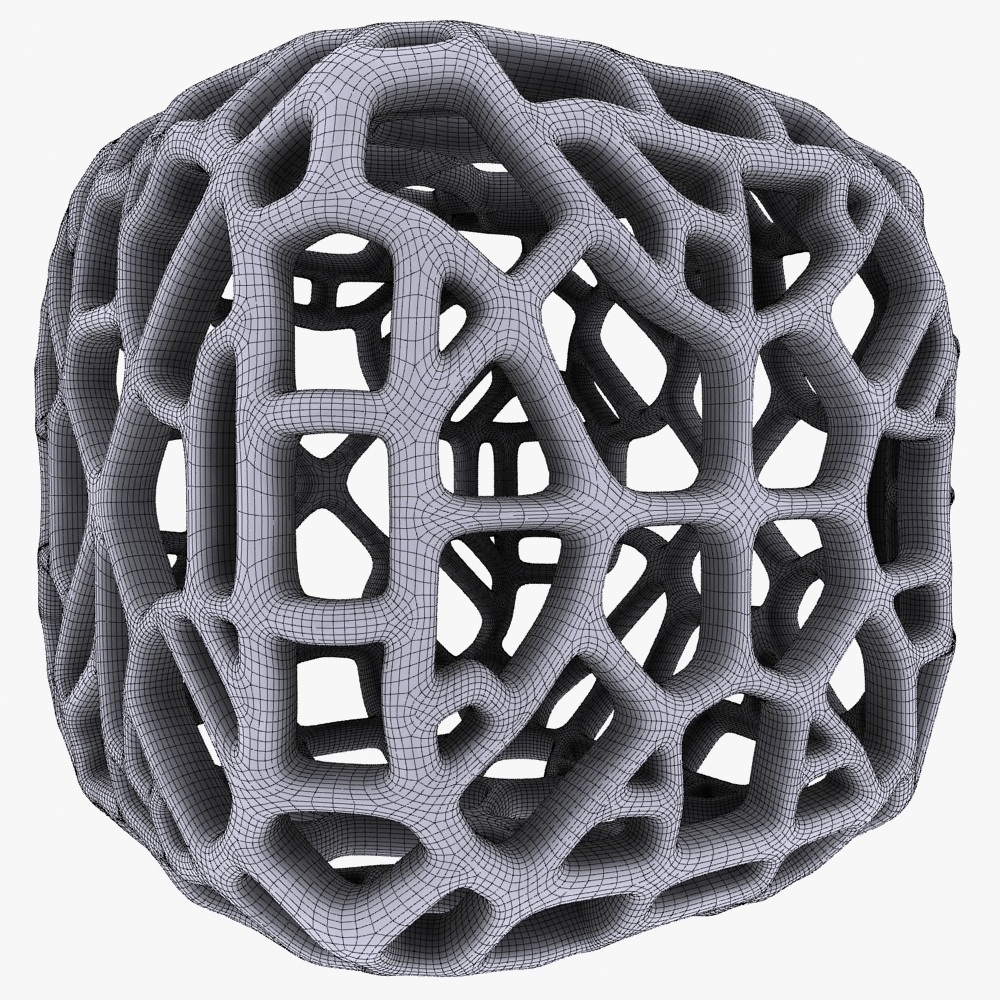 3d Complex Shape Model
