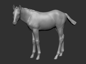 horse foal pose 3ds