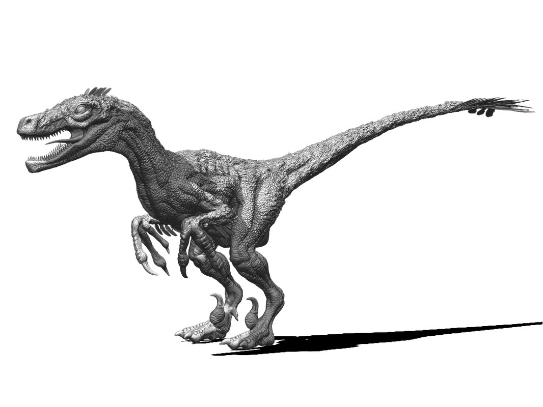 original velociraptor