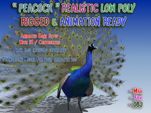 3ds max peacock rigged animation