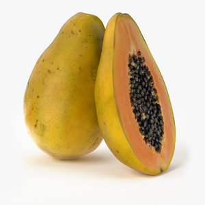 realistic papaya fruit real 3d model
