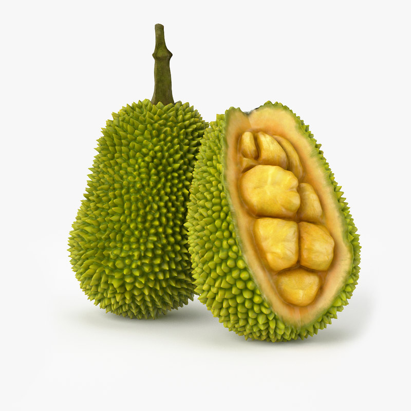 3d model realistic jackfruit real fruit