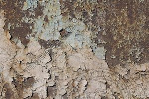 rust