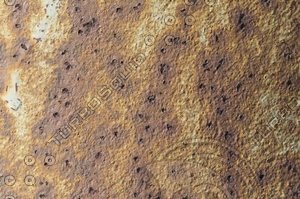 rust maps