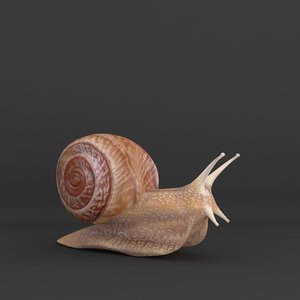 3ds max realistic snail