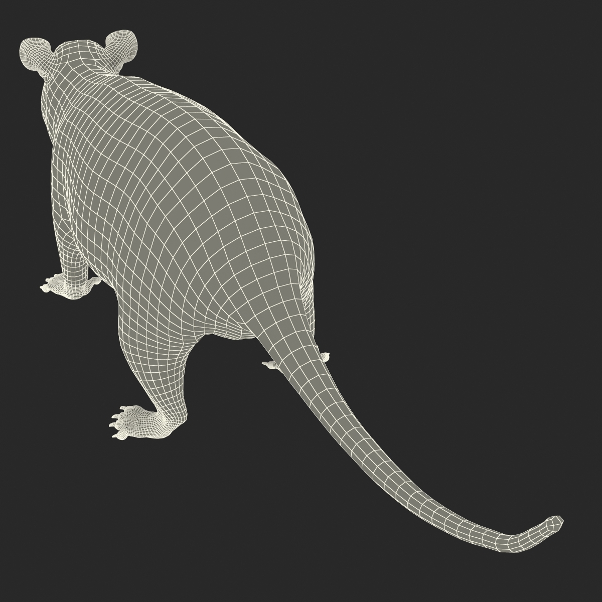 possum rigged 3d model