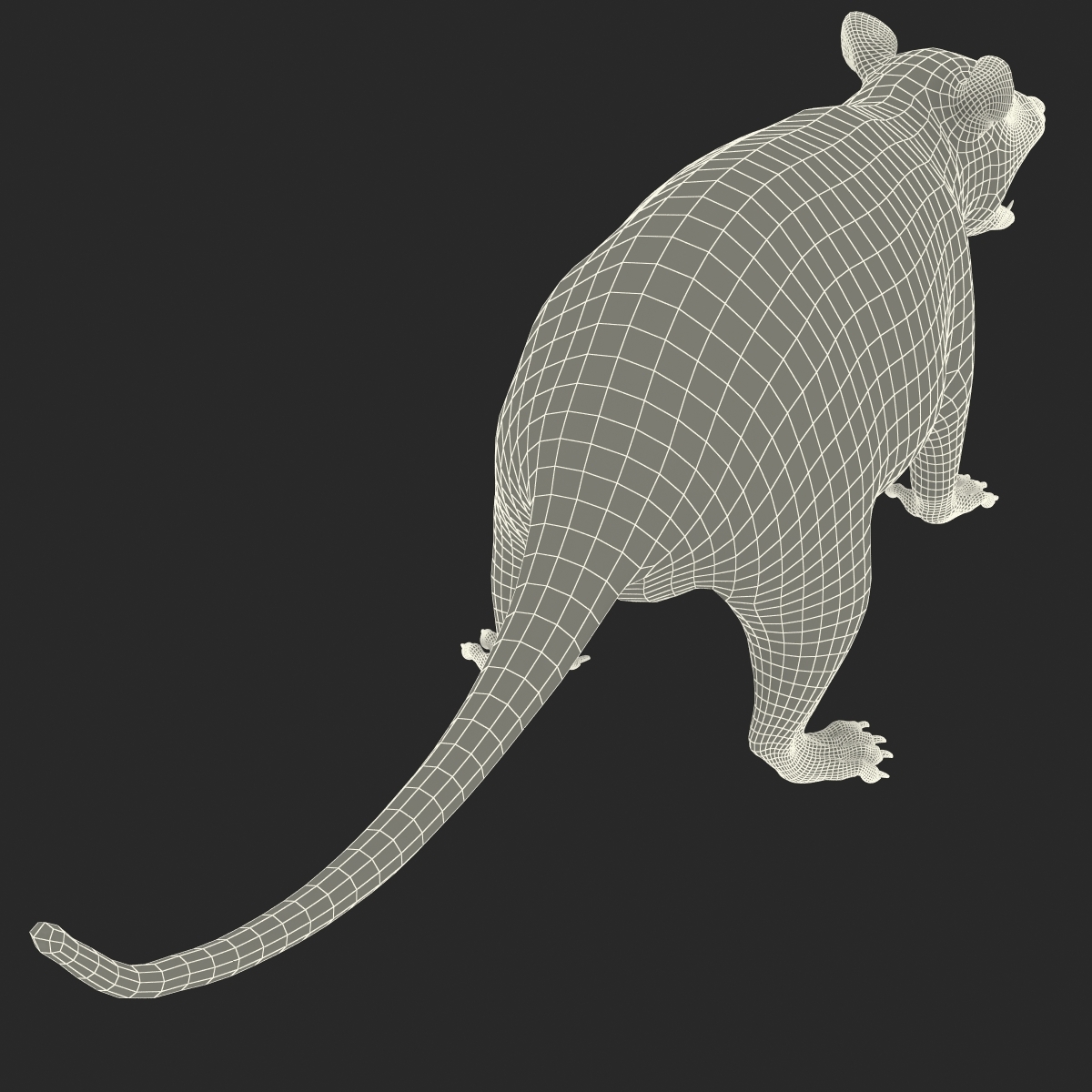 possum rigged 3d model