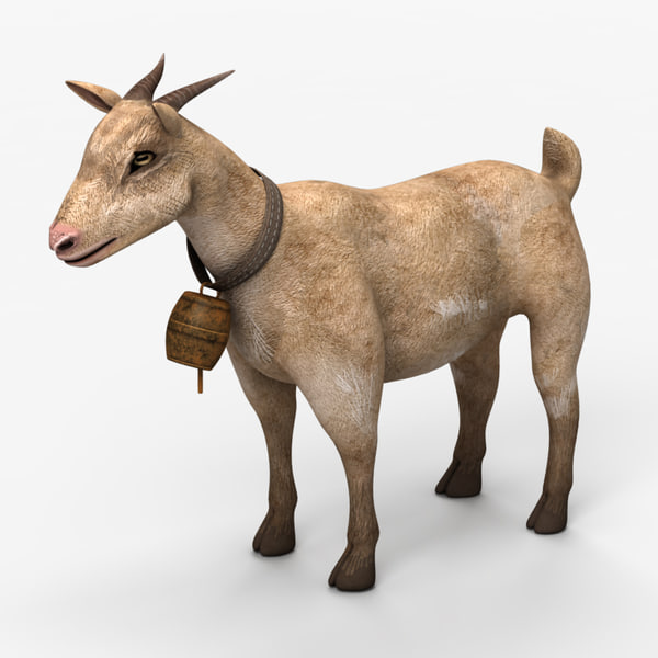 Goat 3D Models For Download | TurboSquid