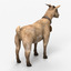 3d model goat