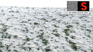 3d grass snow scanned model