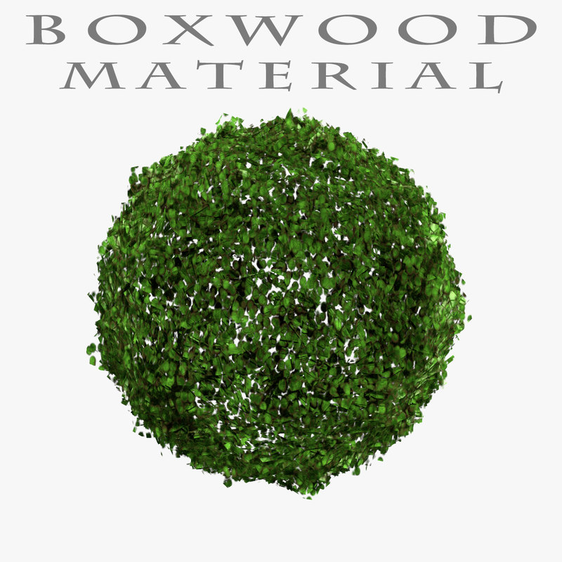  https://static.turbosquid.com/Preview/2015/01/12__03_44_08/buxus01.jpgb3ece563-e45d-4fa9-b155-bcd5038a19b6Original.jpg