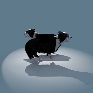 3ds max collie sheep dog