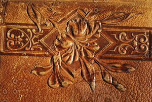 BookCover_Texture_0009