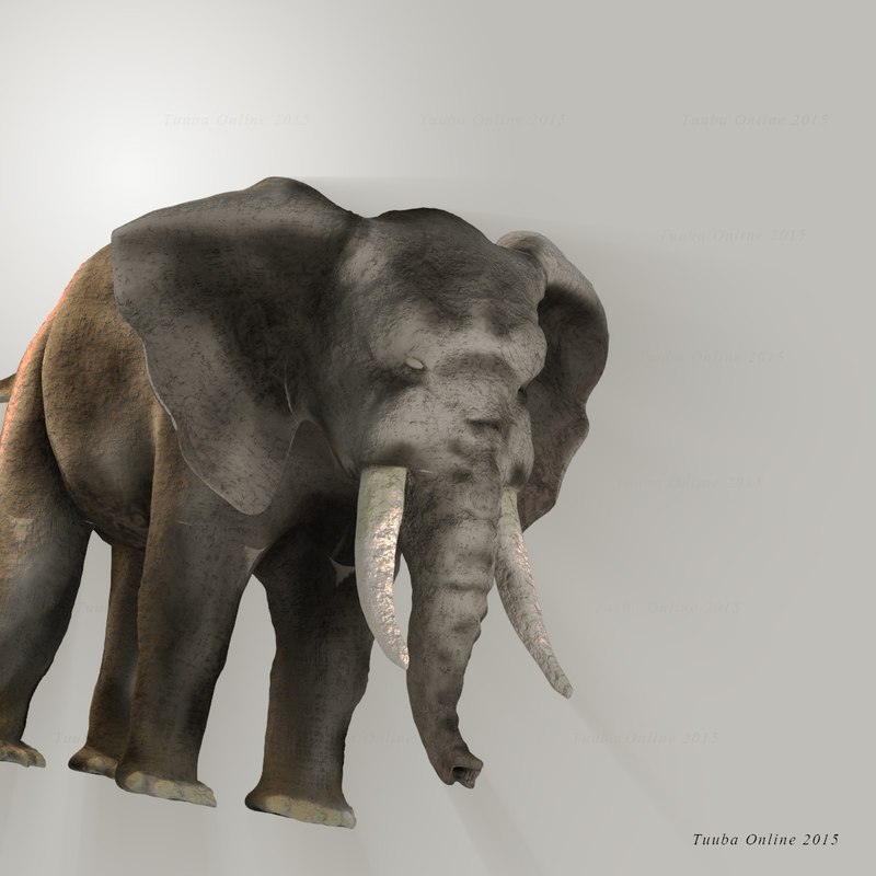 3d model elephant