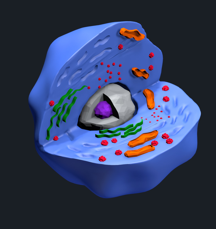 3ds max human cell color