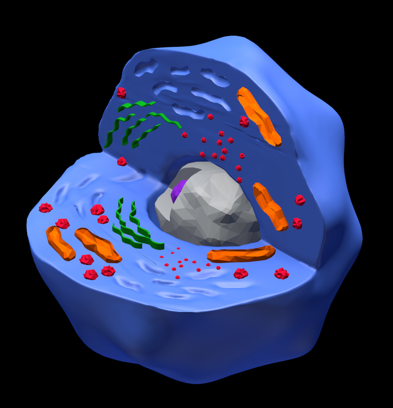 3ds max human cell color