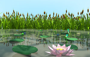swamp plants 3d model
