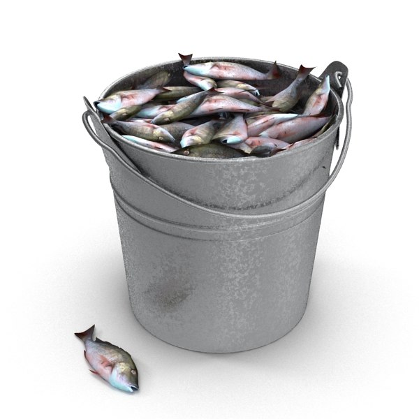 max fish bucket