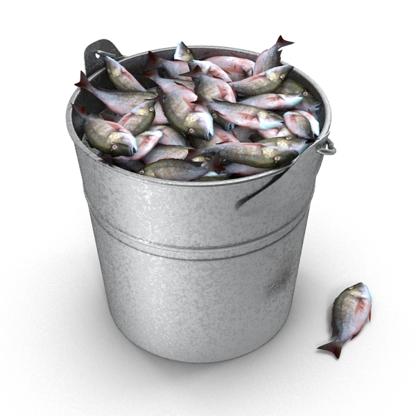 max fish bucket