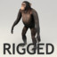 chimpanzee rigged biped 3d model