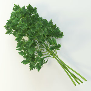 3ds max parsley