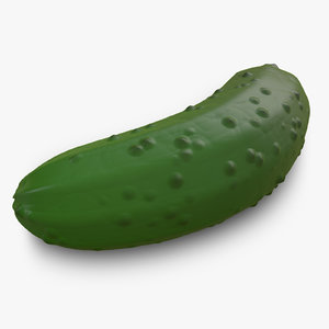 pickle cucumber displacement 3d model