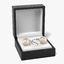 3d model earrings boxes