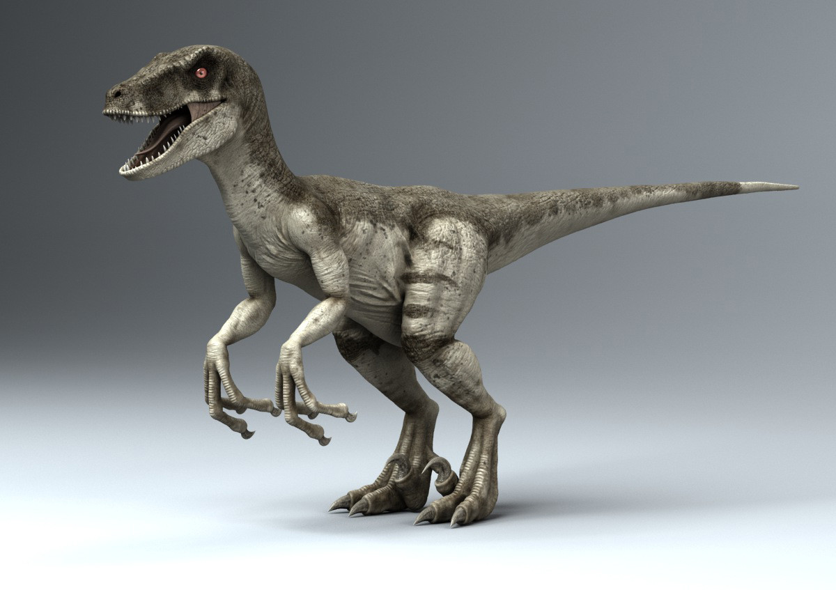 velociraptor google 3d