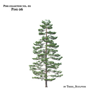 3d pine-tree tree