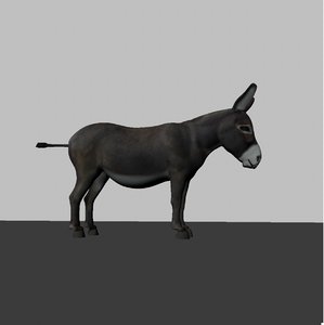 Donkey 3D Models for Download | TurboSquid