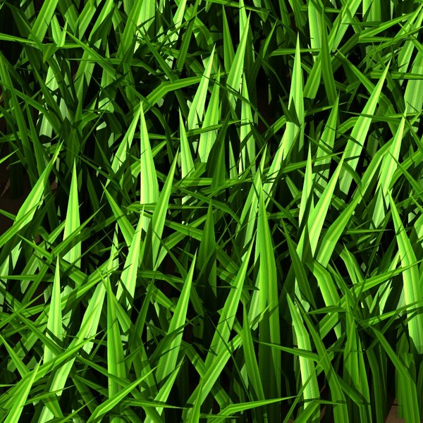 grass tiles 3d lwo