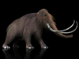 3d mammoth