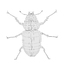 3ds lucanus cervus beetles